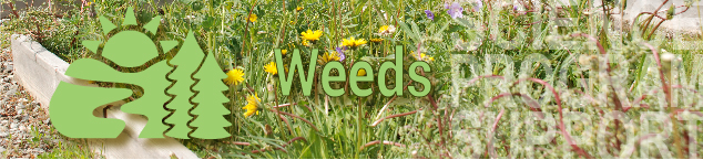 Weed Program Banner